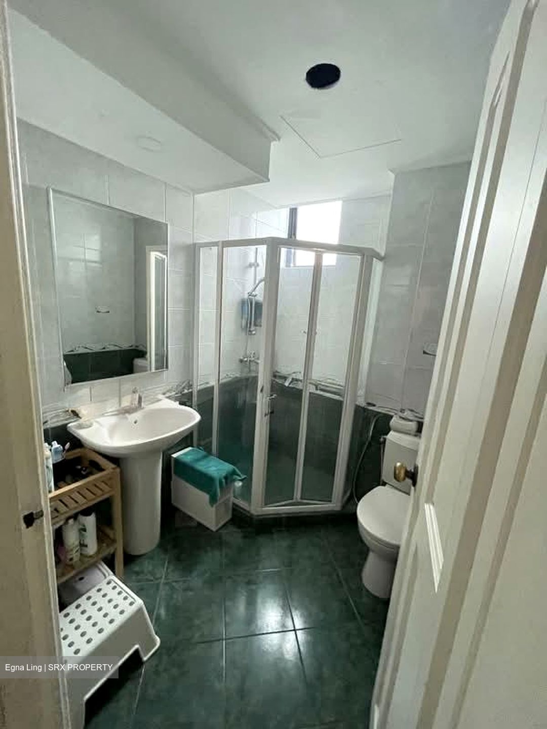 Spring Grove (D10), Condominium #599217901